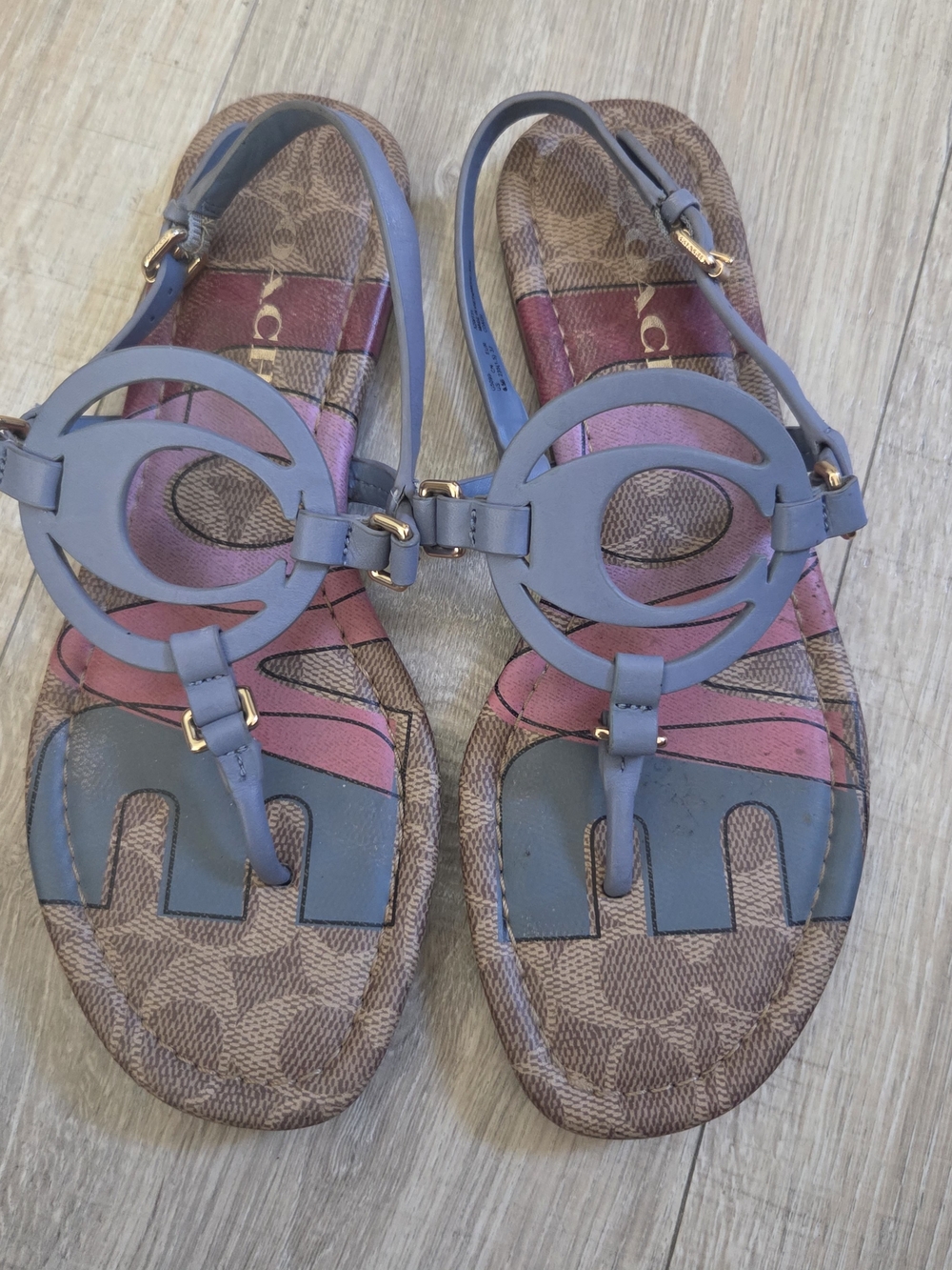 Coach Blue Leather Logo Circle Thong Sandals - Women's